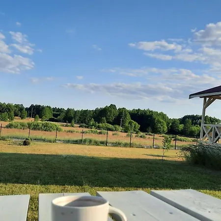 Wysokie Trawy Zdory Пиш